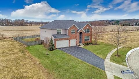 7007 Liam Ln, Mchenry, IL 60050 photo 44