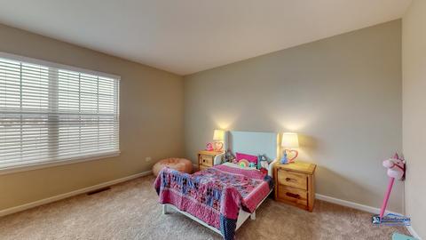 7007 Liam Ln, Mchenry, IL 60050 photo 36