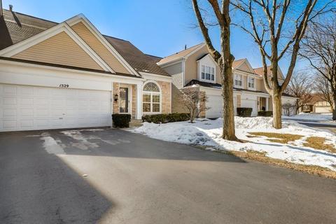 1529 Diamond Dr, Hoffman Estates, IL 60192 photo 1