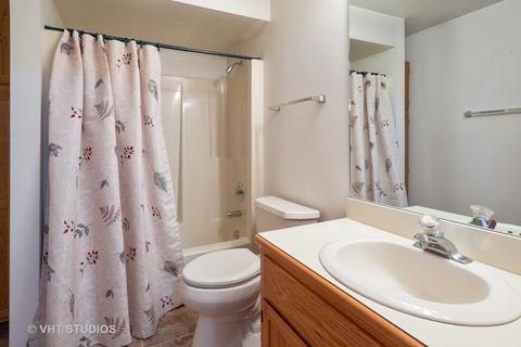 213 Deerhaven Dr, Minooka, IL 60447 photo 14