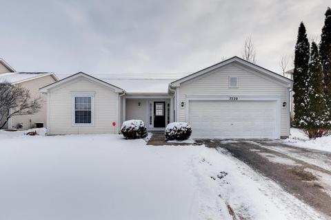 7220 Courtwright Dr, Plainfield, IL 60586 photo 1