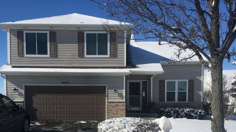 1403 Martin Ct, Plainfield, IL 60586 photo 1