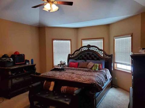 231 Pine St, Beecher, IL 60401 photo 5