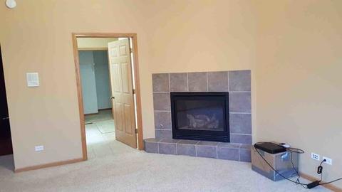 231 Pine St, Beecher, IL 60401 photo 20