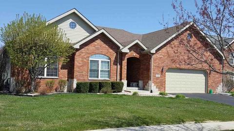 231 Pine St, Beecher, IL 60401 photo 23