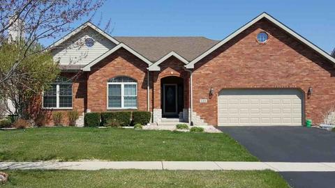 231 Pine St, Beecher, IL 60401 photo 1