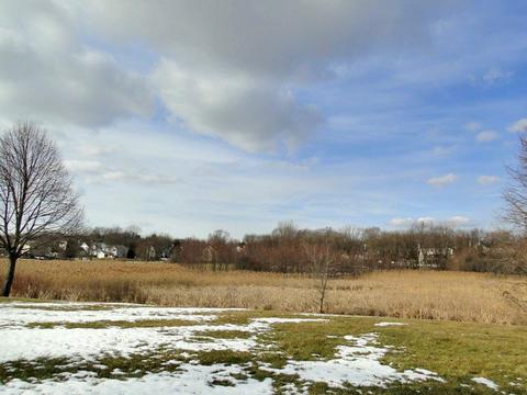 610 Chatham Cir, Algonquin, IL 60102 photo 25