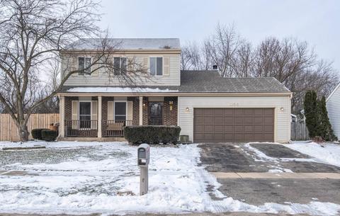1156 S Appletree Ln, Bartlett, IL 60103 photo 1