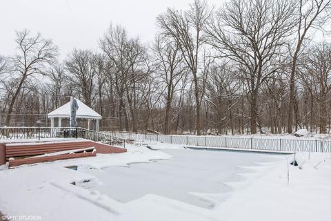 5348 W Pauling Rd, Monee, IL 60449 photo 24