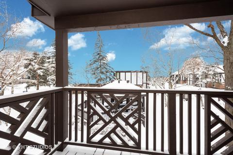 1450 Johnstown Ln #C, Wheaton, IL 60189 photo 10