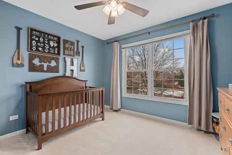 23049 Persimmon Ln, Plainfield, IL 60586 photo 22