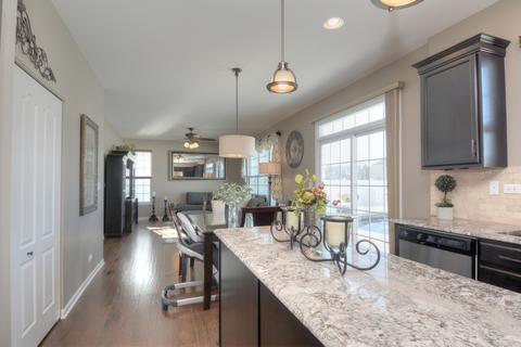 328 Snow Drop Ln, Elgin, IL 60124 photo 9