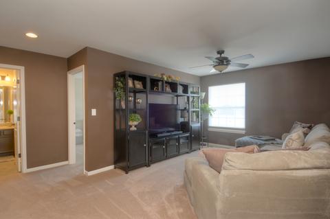 328 Snow Drop Ln, Elgin, IL 60124 photo 14