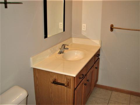 1701 Periwinkle Dr, Morris, IL 60450 photo 21