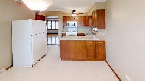 1001 E Ardyce Ln, Mount Prospect, IL 60056 photo 9