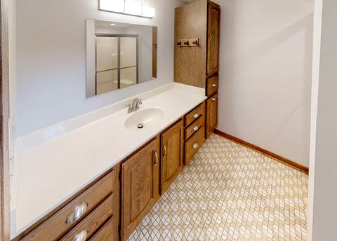 1001 E Ardyce Ln, Mount Prospect, IL 60056 photo 31