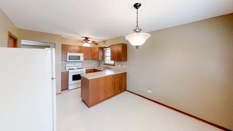 1001 E Ardyce Ln, Mount Prospect, IL 60056 photo 11