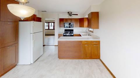 1001 E Ardyce Ln, Mount Prospect, IL 60056 photo 24