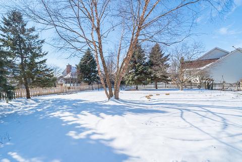 24141 Cabernet Ln, Plainfield, IL 60586 photo 30
