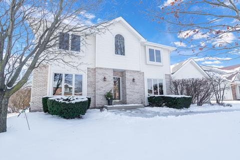 24141 Cabernet Ln, Plainfield, IL 60586 photo 1
