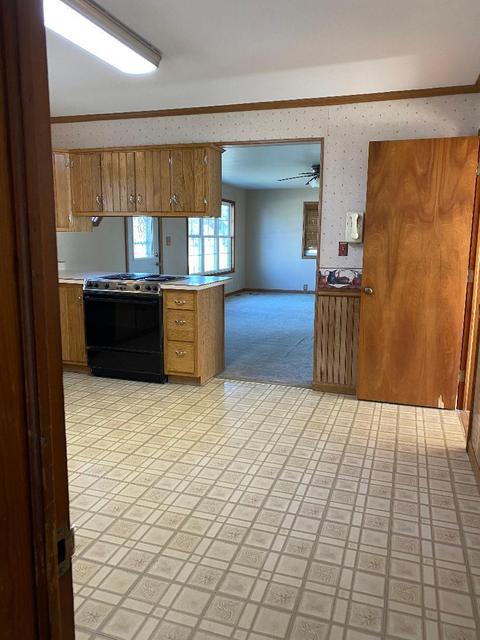 107 E Main St, Royal, IL 61871 photo 13
