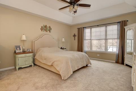 22960 Birch Ct, Plainfield, IL 60586 photo 8