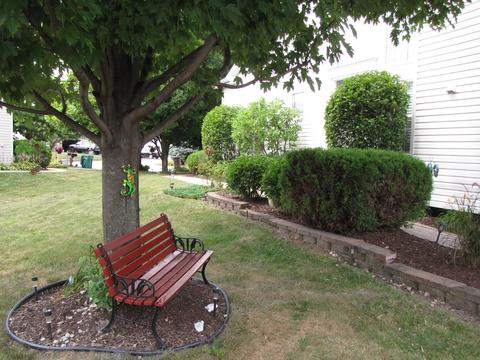 22960 Birch Ct, Plainfield, IL 60586 photo 23