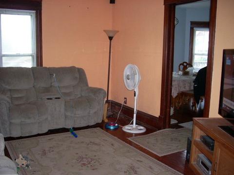 100 W Sumner Ave, Peotone, IL 60468 photo 17