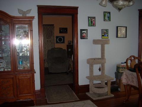 100 W Sumner Ave, Peotone, IL 60468 photo 10