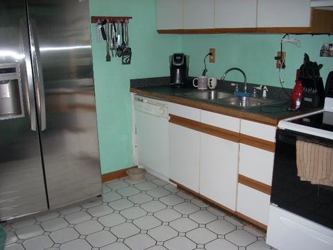 100 W Sumner Ave, Peotone, IL 60468 photo 5