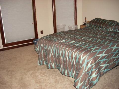 100 W Sumner Ave, Peotone, IL 60468 photo 22