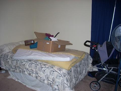 100 W Sumner Ave, Peotone, IL 60468 photo 24