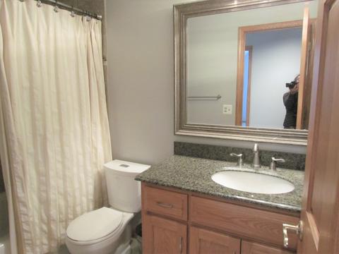 1612 Far Hills Dr, Bartlett, IL 60103 photo 35