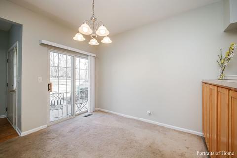 119 Braxton Ln, Aurora, IL 60504 photo 3