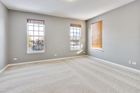1685 Heron Way, Hoffman Estates, IL 60192 photo 19