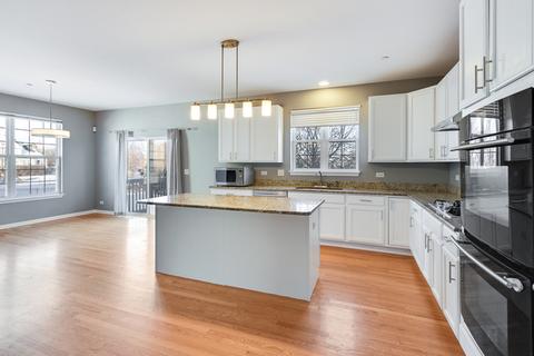 1685 Heron Way, Hoffman Estates, IL 60192 photo 10