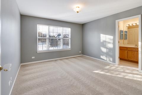 1685 Heron Way, Hoffman Estates, IL 60192 photo 31