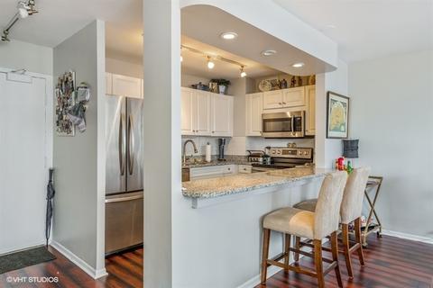 33 E Cedar St #18B, Chicago, IL 60611 photo 8