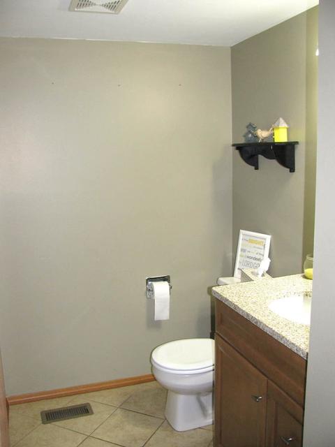 682 Packard Dr, Elgin, IL 60120 photo 6