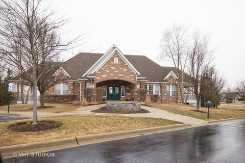 7413 Fordham Ln, Plainfield, IL 60586 photo 20