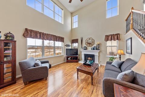 25305 Knoll Rd, Plainfield, IL 60544 photo 7