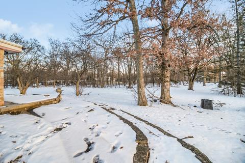 20801 Oak Ln, Olympia Fields, IL 60461 photo 23
