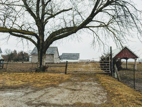 8702 N 2400 E Rd N, Forrest, IL 61741 photo 5