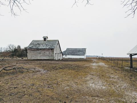8702 N 2400 E Rd N, Forrest, IL 61741 photo 4