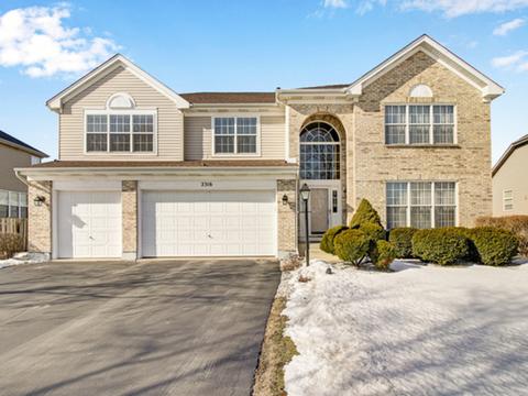 2316 Coneflower Ln, Algonquin, IL 60102 photo 1