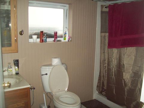 108 4th St, Walnut, IL 61376 photo 17