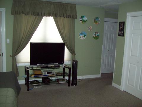 108 4th St, Walnut, IL 61376 photo 7