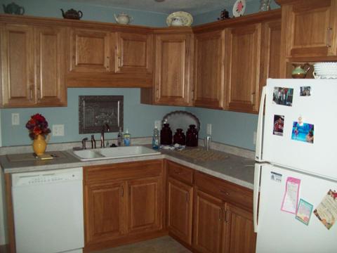108 4th St, Walnut, IL 61376 photo 10