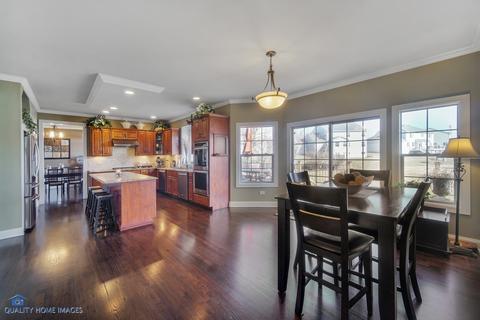 13013 Northland Dr, Plainfield, IL 60585 photo 10