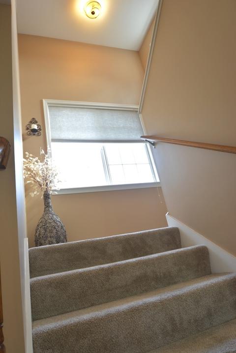 24826 Michele Dr, Plainfield, IL 60544 photo 24